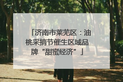 济南市莱芜区：油桃采摘节催生区域品牌“甜蜜经济”