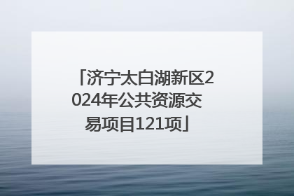 济宁太白湖新区2024年公共资源交易项目121项