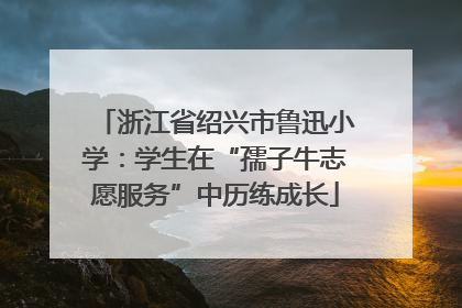 浙江省绍兴市鲁迅小学：学生在“孺子牛志愿服务”中历练成长