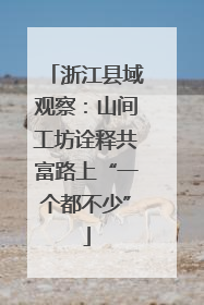 浙江县域观察：山间工坊诠释共富路上“一个都不少”