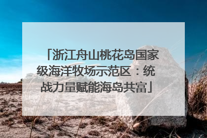 浙江舟山桃花岛国家级海洋牧场示范区：统战力量赋能海岛共富