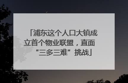 浦东这个人口大镇成立首个物业联盟，直面“三多三难”挑战