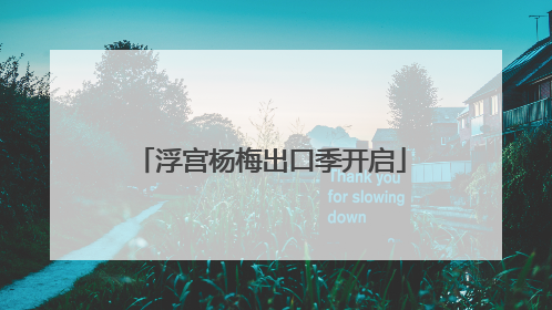 浮宫杨梅出口季开启