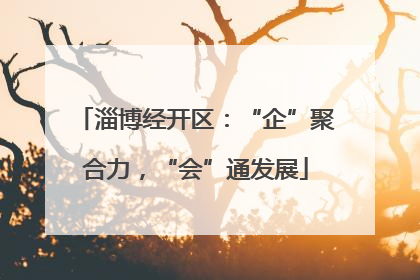 淄博经开区：“企”聚合力，“会”通发展