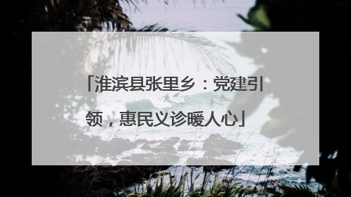 淮滨县张里乡：党建引领，惠民义诊暖人心