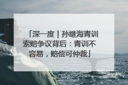 深一度｜孙继海青训索赔争议背后：青训不容易，赔偿可仲裁
