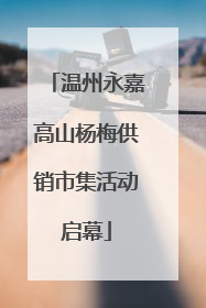 温州永嘉高山杨梅供销市集活动启幕