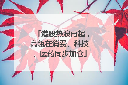 港股热浪再起，高瓴在消费、科技、医药同步加仓