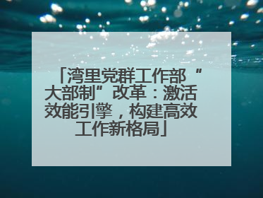 湾里党群工作部“大部制”改革：激活效能引擎，构建高效工作新格局