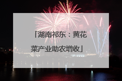 湖南祁东：黄花菜产业助农增收