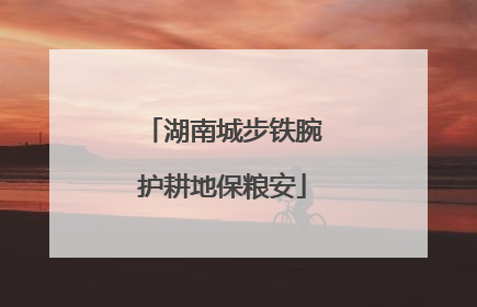 湖南城步铁腕护耕地保粮安