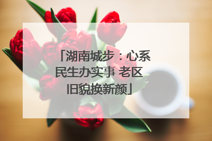 湖南城步：心系民生办实事 老区旧貌换新颜