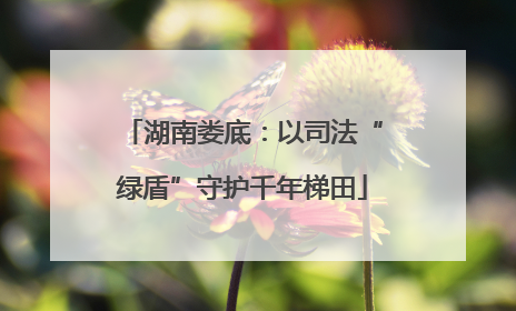 湖南娄底：以司法“绿盾”守护千年梯田