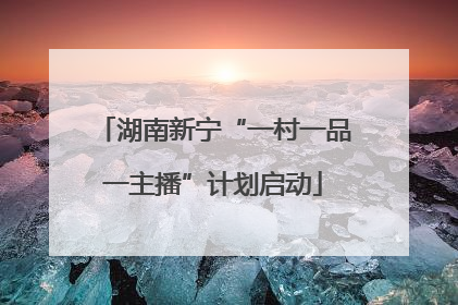 湖南新宁“一村一品一主播”计划启动