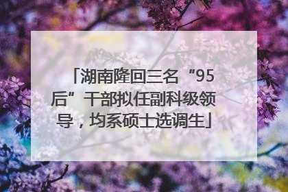 湖南隆回三名“95后”干部拟任副科级领导，均系硕士选调生
