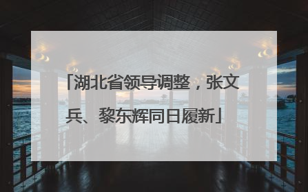 湖北省领导调整，张文兵、黎东辉同日履新