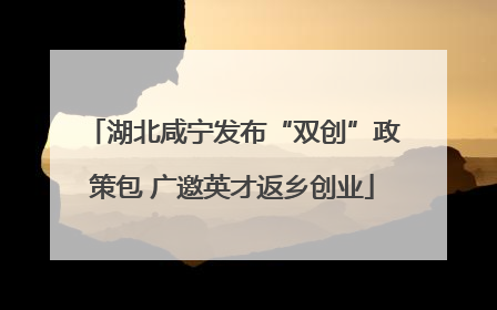 湖北咸宁发布“双创”政策包 广邀英才返乡创业