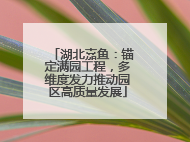湖北嘉鱼：锚定满园工程，多维度发力推动园区高质量发展