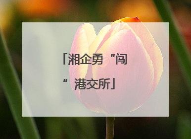 湘企勇“闯”港交所