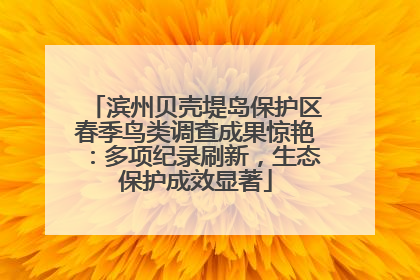 滨州贝壳堤岛保护区春季鸟类调查成果惊艳：多项纪录刷新，生态保护成效显著