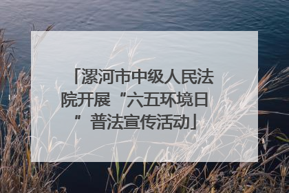 漯河市中级人民法院开展“六五环境日”普法宣传活动