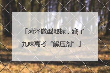 菏泽微型地标，藏了九味高考“解压剂”