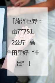 菏泽巨野：亩产751.2公斤  高产田里好“丰景”