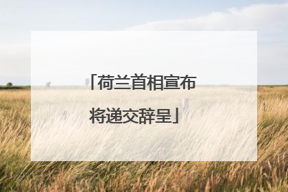 荷兰首相宣布将递交辞呈