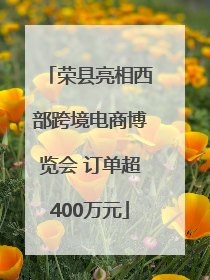 荣县亮相西部跨境电商博览会 订单超400万元