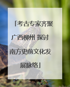 考古专家齐聚广西柳州 探讨南方史前文化发展脉络