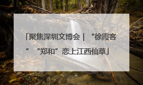 聚焦深圳文博会｜“徐霞客”“郑和”恋上江西仙草