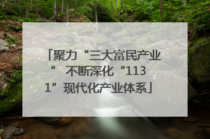 聚力“三大富民产业” 不断深化“1131”现代化产业体系