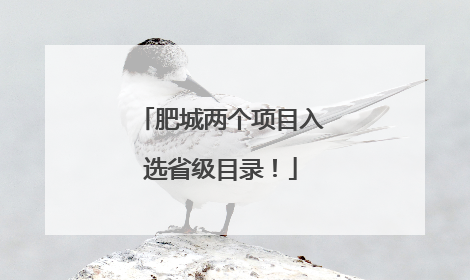 肥城两个项目入选省级目录！
