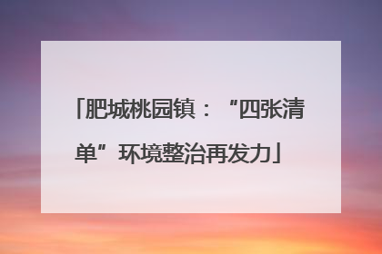 肥城桃园镇：“四张清单”环境整治再发力
