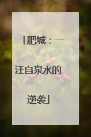 肥城：一汪自泉水的逆袭