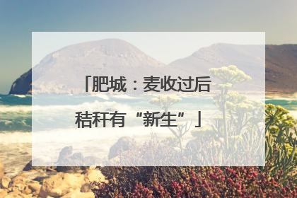 肥城：麦收过后秸秆有“新生”