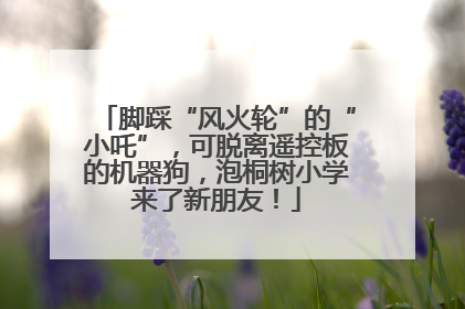 脚踩“风火轮”的“小吒”，可脱离遥控板的机器狗，泡桐树小学来了新朋友！