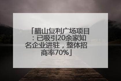 腊山复利广场项目：已吸引20余家知名企业进驻，整体招商率70%