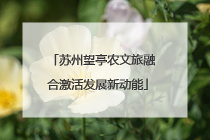 苏州望亭农文旅融合激活发展新动能