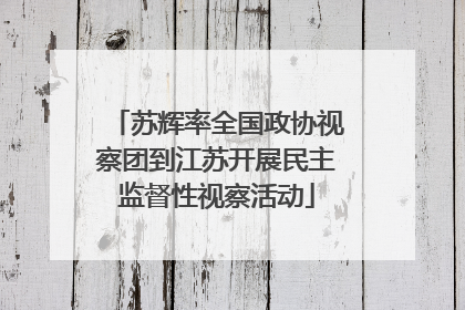 苏辉率全国政协视察团到江苏开展民主监督性视察活动