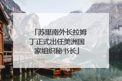 苏里南外长拉姆丁正式出任美洲国家组织秘书长