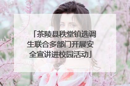 茶陵县秩堂镇选调生联合多部门开展安全宣讲进校园活动
