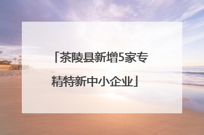 茶陵县新增5家专精特新中小企业