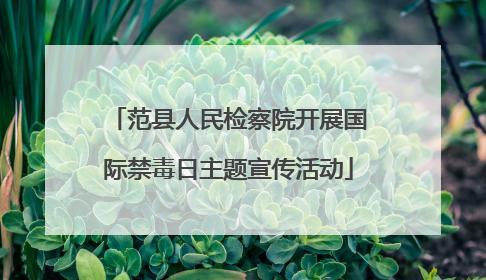 范县人民检察院开展国际禁毒日主题宣传活动