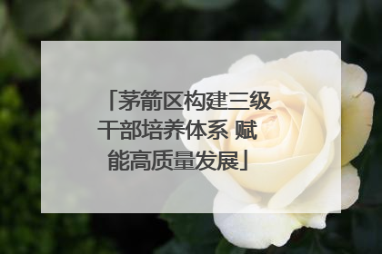 茅箭区构建三级干部培养体系 赋能高质量发展