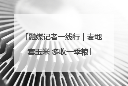 融媒记者一线行｜麦地套玉米 多收一季粮