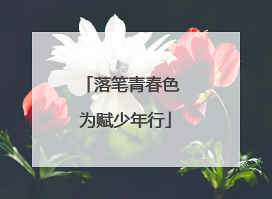 落笔青春色 为赋少年行