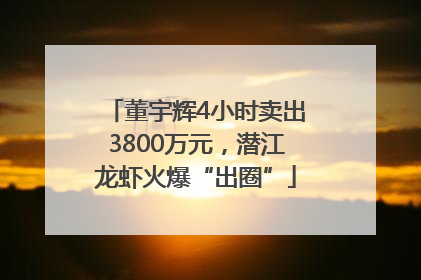 董宇辉4小时卖出3800万元，潜江龙虾火爆“出圈”