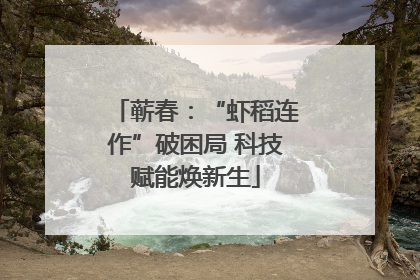 蕲春：“虾稻连作”破困局 科技赋能焕新生