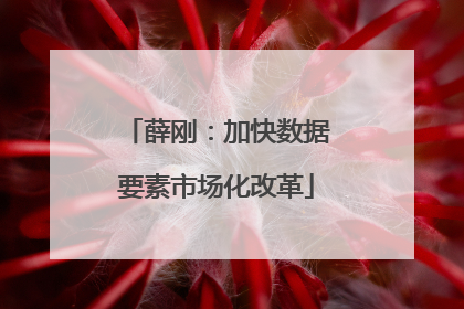 薛刚：加快数据要素市场化改革